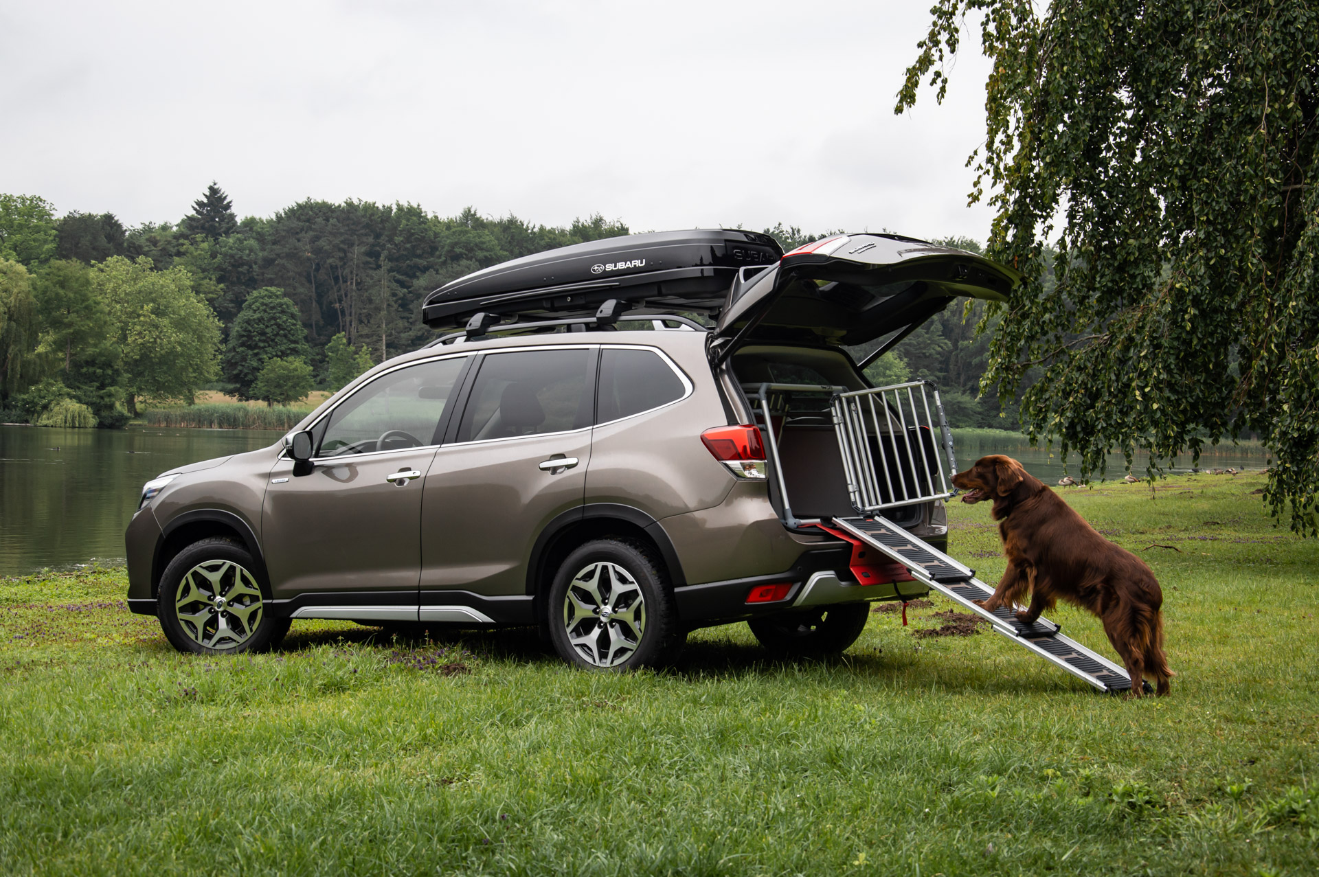 4PETS Subaru Forester